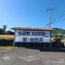 서귀포 안덕면 대평리 카페_도도 카페 (대평 가는 길)