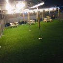 아이라이크펫 이미지