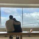 오이도 카페 | 로아커피 (내돈내산, 감성카페 추천)