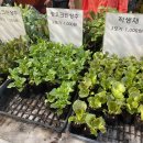 현대종묘사 이미지