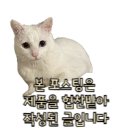 새치 | 타투그리모 헤어라이너 새치커버 후기