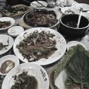 임정은가든 이미지