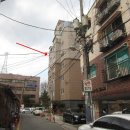포천삼정초교 네이버블로그