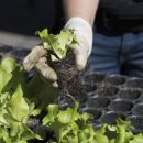 동부농약종묘사 이미지