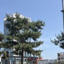 장원하우스 | 대전여행 2일차 코스 추천｜장원갑칼국수·빵보관소·로크하우스 솔직후기 🍞💚