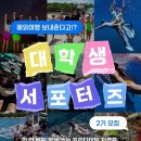 [잠실]첫 프리다이빙 올림픽 수영장 5m 찐후기