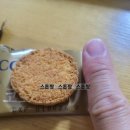 이마트24 다산메디컬점 | 노브랜드 가면 꼭! 사 와야 하는 &#39;코코넛로쉐, 커피씬비스킷&#39; 솔직 먹방 후기 feat 이마트 다산점