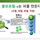 라라코리아 이미지