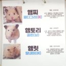 대승타워 | 냥쿤하우스 광주 북구 고양이카페 솔직 자세한 후기