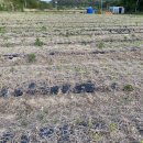 석문농장 이미지