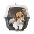 강아지 켄넬 이미지