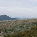 재약산식당 이미지