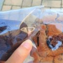 콩이와쌀자루 이미지