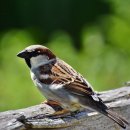 내컴퓨터 관리하기 이미지