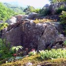 큰골민박 이미지