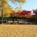 종로-연건-종로-연-438 | 북촌 숨은명소 소격동·화동 도보여행 - 북촌골목여행 추천 3코스, 감고당길 편