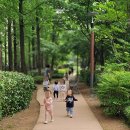 반포써밋, 반포써밋비에스피(BSP)어린이집 | 반포동 어린이집 반포써밋비에스피 BSP어린이집