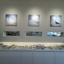 아이리치 안경원 이미지