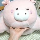 돼지옆꾸리
