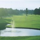 노송골프 이미지