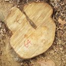 은평-064 이미지