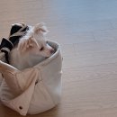 구구네미용실 이미지