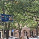 뉴 상하이 | [중국/상하이] 인민광장 숙소 래디슨 블루 호텔 상하이 뉴월드 주니어 스위트 내돈내산 후기