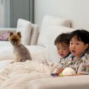 송산유원지 | [광주카페]광산구 리버뷰 대형카페 온어브레이크 — 송산유원지의 숨은 명소