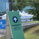 The Creator | 2025 Tyler, the creator 내한공연 후기