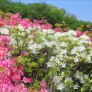 초막골 생태공원 이미지