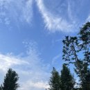 고을집김치생삼겹살 이미지