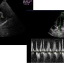 24시프라임동물병원 이미지