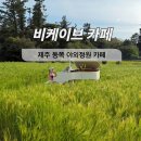 선흘리에 | 4월 5월 제주도 가볼만한곳 제주 동쪽 조천 카페 비케이브