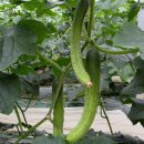 정종희농장 이미지