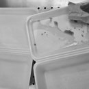 고마큰만두 이미지