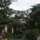 개냥이 연구소 이미지