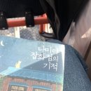 하대동321 | [일상] 봄봄봄봄뽐봄몸봄