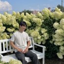 블랜드미 | 여행지 추천 수국&백일홍 맛집_익산카페 블랜드미 내돈내산 솔직후기(수국만개정도,포토존,가격표,주차장)