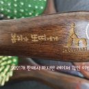 머리카락한올