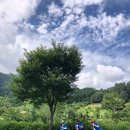 찬주자원 이미지