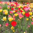 고고오락실 죽전점 | 벌써 22년 반이 지나가버린,,5월의 일기