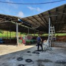 영천농장축사 이미지