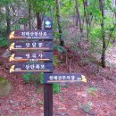 금산-09 이미지