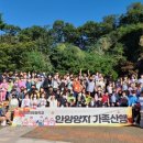 안양양지초등학교 이미지