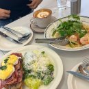 에이프론 | 판교 분위기 좋은 브런치 카페 에이프런 판교 내돈내산 방문 후기