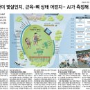 서울광장에서 건강축제 이미지