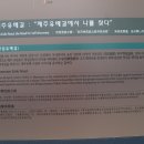 제주 행복찾기 1일( 제주 오라올레길) 이미지