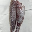 활암꽃게/ 활감성돔 판매합니다 ^^ 이미지