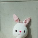 펠트 이미지