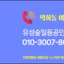 유성숲일등공인중개사사무소 이미지